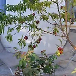 別荘 Maison Independante Avec Jardin Et Parking *