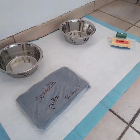 Maison Indépendante Avec Jardin Et Parking *